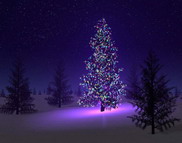 271210